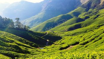 Theni to Kerala: Border Adventure (2 Nights / 3 Days)
