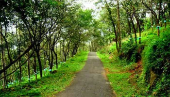 Theni to Sirumalai Hills Group Tour (1 Night / 2 Days)