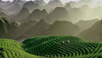 1N/2D Theni to Guruvayur 10+1 Luxury Caravan