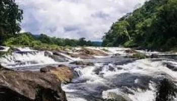 Theni – Valparai – Athirappilly 2N/3D 53 Seater Luxury AC Bus