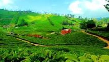 Theni to Ooty & Masinagudi Group Tour (3N/4D) with Rengha Holidays in 53 Seater Bus