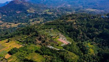 The Cardamom Trail: Theni, Munnar & Kanthalloor Grand Tour