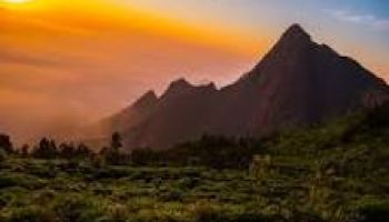 Next-Gen Group Executive Transfer: Madurai to Chennai Egmore (MS) in a Premium 16+1 Force URBANIA