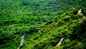 Theni – Idukki – Ramakkalmedu – Theni: Thar Roxx Compact Adventure Tour (1 Night / 2 Days)
