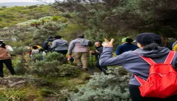 Mountain Climbing Mt. Kenya 6 Days