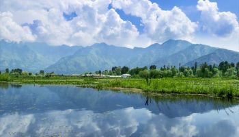 Kashmir Delight 5 Night - 6 Days Tour