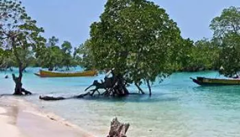 4 Nights - 5 Days Andaman Tour Package