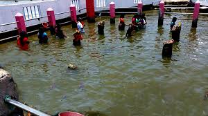 Madurai - Rameshwaram with 18 seater