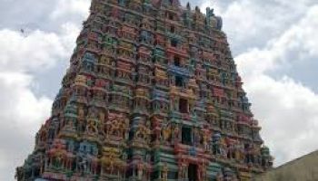 2 Nights / 3 Days Pandiyanattu Thirupathikal Luxury Tempo Traveller