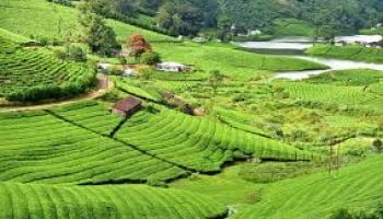 Van Tour Itinerary Madurai to Theni Bus Stand (16+1 Urbania)