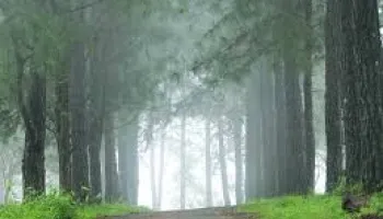 Madurai – Thekkady – Madurai 10+1 Luxury Caravan