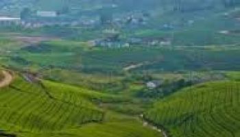 Luxury 1-Day Innova Crysta Express: Madurai to Thekkady