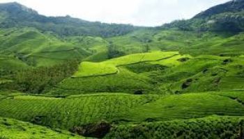 Supreme Luxury Group Escape: Madurai to Munnar Tour by 53 Seater Coach