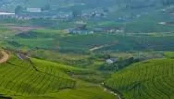 Madurai to Thekkady 1-Day Sedan (AC)