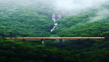 1 Day Doodhsagar Waterfall Tour In Goa Tour