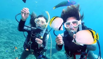1Day Scuba Diving With Water Sports At Malvan Tour