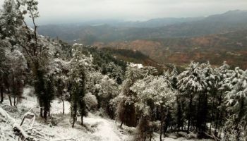 5nights 6days Shimla Manali Package