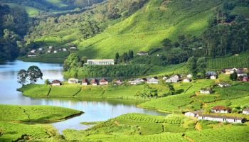 6N 7D Cultural Kerala - Cochin - Munnar - Alleppey Tour