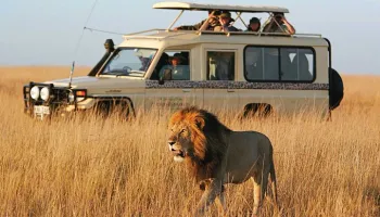 Wilderness - Waves - A Seven-Day Luxury Safari - Zanzibar Escape Tour