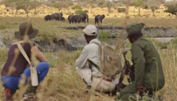 4 Days Tanzania Walking Safari Tour