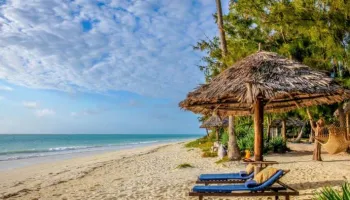 8 Days Photography Safari - Coastal Escape Tour