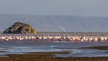 10 Days Ultra-Luxury Tanzania Safari Tour