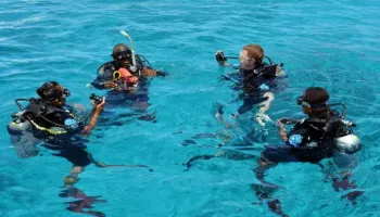 10 Days Tanzania Honeymoon Safari Tour