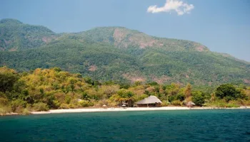 Into The Wild - Eight Days Of Mahale Mountains Adventure - Luxury Tour