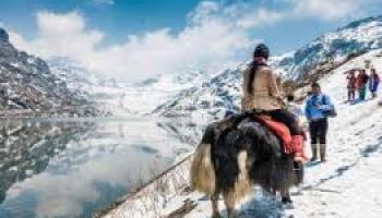 8D Gangtok - Lachen - Lachung - Darjeeling Tour