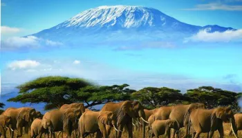 3 Days Amboseli Package