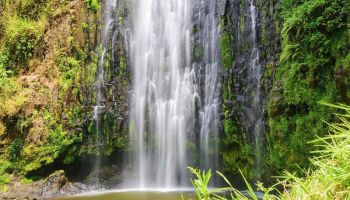 Materuni Waterfall Day Excursion Tour