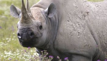 8-Day Private Camping Tour