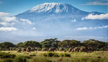 7 Days Kilimanjaro Trekking Machame Route Tour
