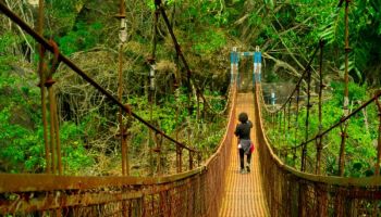 Gangtok And Lachung Tour Package