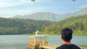 coffee plantations, high peaks