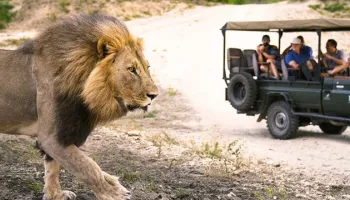 4 Days Tsavo West And Tsavo East Tour