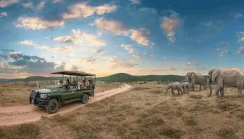 3 Days Samburu National Park Tour