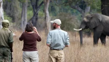 9 Days Wildlife And Trekking Safari Tour