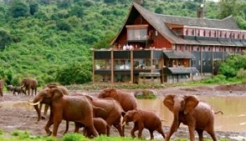 10 Days Private Wildlife Safari Adventure In Kenya Tour