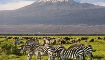 2-Day Amboseli Private Safari Tour
