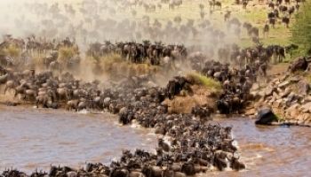 3-Day Private Budget Safari To Masai Mara - Kenya Tour