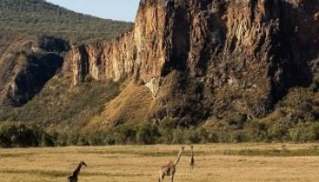 6 Days Kenya Safari Tour