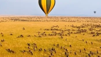 Hot Air Balloon Safari Offer Tour