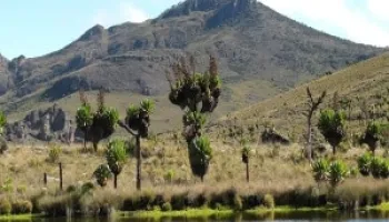 Mount Elgon National Park Safari Tour