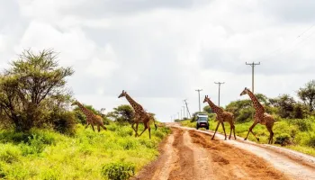 15 Days Rustic Kenya Wildlife And Beach Safari Tour