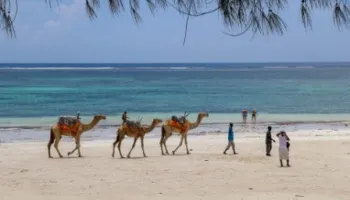 8-Day Kenya Wilderness Adventure And Beach Relaxation Tour