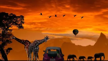 15 Days Kenya Honeymoon Safari Tour