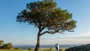 4 Days Masai Mara Honeymoon Safari Tour