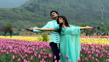 Kashmir Honeymoon Packages 05 Nights - 06 Days