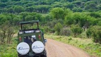 05Days - The Ultimate Tanzania Safari Experiences Tour